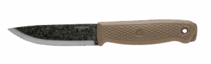 Terrasaur désert