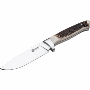Hunter Stag