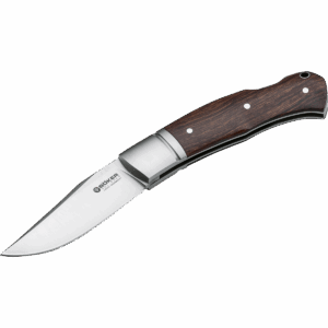 Desert Ironwood